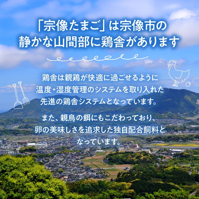 JAむなかたよりお届け！宗像たまご60個（55個＋補償5個）【JAほたるの里】_HA0916