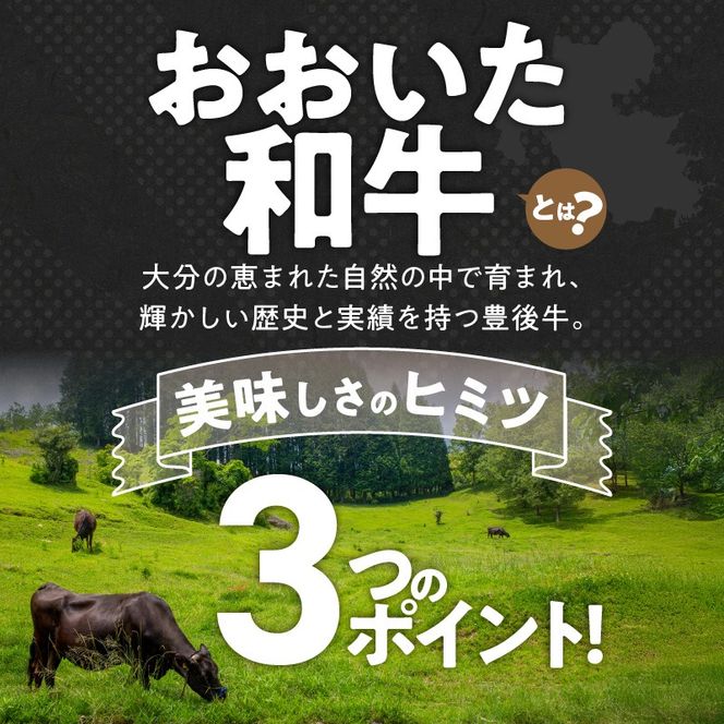【ご好評につき1～2ヶ月待ち】【黒毛和牛】 A4～A5等級 おおいた和牛 ランプステーキ 800g (200g×4枚) 赤身 BBQ 焼肉 厚切り モモ 国産 希少部位_2373R-3