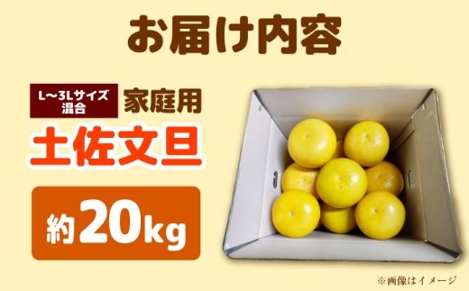 【先行予約】土佐文旦家庭用 約20kg L-3Lサイズ混合＜2027年1月下旬から順次発送＞ / ぶんたん ブンタン 文旦 フルーツ 柑橘 みかん 果物 くだもの 柑橘類 デザート おやつ さっぱり おいしい 甘い お取り寄せ 国産【玉木農園】 [BQAJ011]