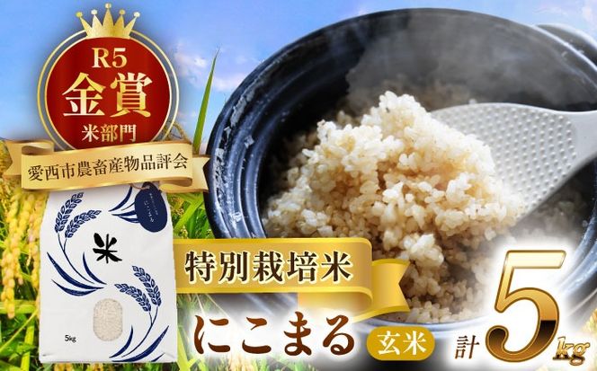 令和6年産　新米　愛知県産にこまる　玄米5kg　特別栽培米　ご飯　玄米／戸典オペレーター[AECT018]