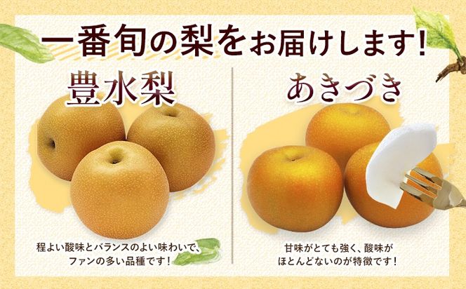 【2026年先行予約】熊本県氷川町産 吉野梨 品種おまかせ 約2kg 約3kg 約4kg(2～16玉前後) 《8月上旬-9月末頃出荷》---hkw_lcl_251_2kg---