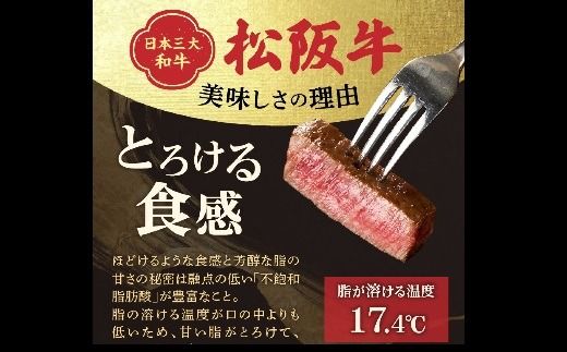 【9.6-1】松阪牛 A5 シャトーブリアンステーキ 480g（120g×4枚）　( 牛肉 ブランド牛 高級 和牛 国産牛 松阪牛 松坂牛 ステーキ ヒレ シャトーブリアン 牛肉 ステーキ 松阪牛 牛肉 ステーキ シャトーブリアン 松阪牛 ステーキ 冷凍 人気 おすすめ ランキング 三重県 松阪市 松阪牛 シャトーブリアン )