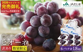 【2027年先行予約】数量限定 訳あり 豊岡ぶどう「ピオーネ」 約300g×6パック ／ ぴおーね ブドウ 葡萄 訳ありぶどう 大粒 強い甘み 爽やかな酸味 新鮮 果物 産地直送 くだもの フルーツ 上品 香り