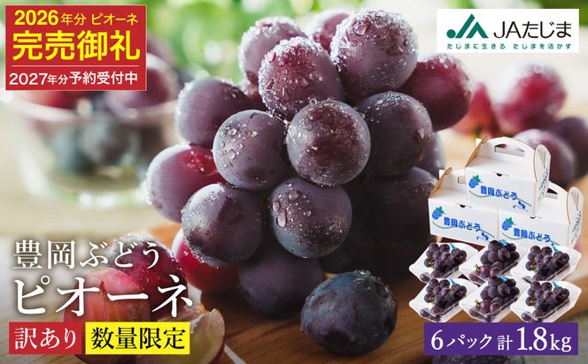 【2027年先行予約】数量限定 訳あり 豊岡ぶどう「ピオーネ」 約300g×6パック ／ ぴおーね ブドウ 葡萄 訳ありぶどう 大粒 強い甘み 爽やかな酸味 新鮮 果物 産地直送 くだもの フルーツ 上品 香り