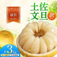 【先行予約】土佐水谷農園の露地土佐文旦 家庭用約3キロ 3kg 大小混合〈2027年1月20日～発送〉フルーツ 柑橘 みかん 果物 くだもの 柑橘類 デザート おやつ 訳あり わけあり【土佐水谷農園】 [BQBD005]