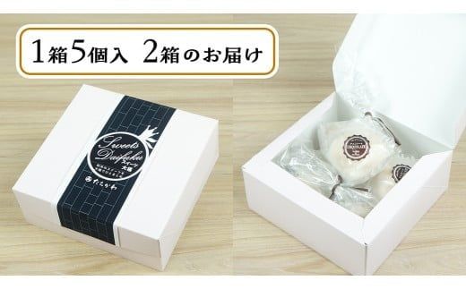 【 菓子庵たちかわ 】 キャラメル ショコラ 餅 大福 10個 ( 5個入 × 2箱 ) 手作り もちもち スイーツ チョコ チョコレート チョコクリーム もち 和菓子 菓子 お菓子 [AY018ci]