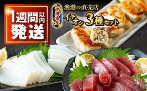 漁港直売店イチオシ3種セット (冷凍キハダマグロ1kg / セーイカ0.6kg / マグロギョーザ24個) 沖縄市 / 沖縄市漁業協同組合 パヤオ直売店[BCDZ004]