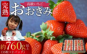 ＜高級いちご「おおきみ」 （15粒入り×2パック 合計約760g以上）＞2025年1月上旬～4月末迄に順次出荷【a0286_sn_x2】