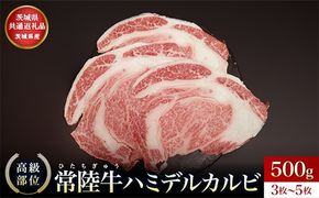 【茨城県共通返礼品】茨城県産 ハミデルカルビ500g