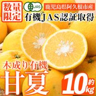 数量限定！有機JAS 木成り甘夏(約10kg) 国産 果実 果物 フルーツ 柑橘 デザート きなり 木なり あまなつ みかん ミカン 蜜柑 期間限定 有機栽培 【中村農場】akn084-10