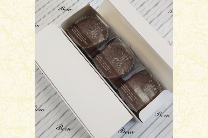 とろけるチョコケーキ【チョコレート 生チョコ 濃厚 おやつ プレゼント】(CK203)