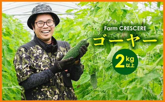 【Farm CRESCERE】ゴーヤー2kg以上 沖縄 大宜味村 ゴーヤー ごーやー チャンプルー 野菜 ふるさと納税 送料無料 沖縄料理 おかず サラダ アレンジ料理 ご当地 郷土料理 ちゃんぷるー 常温 プレゼント 食べ物 2kg