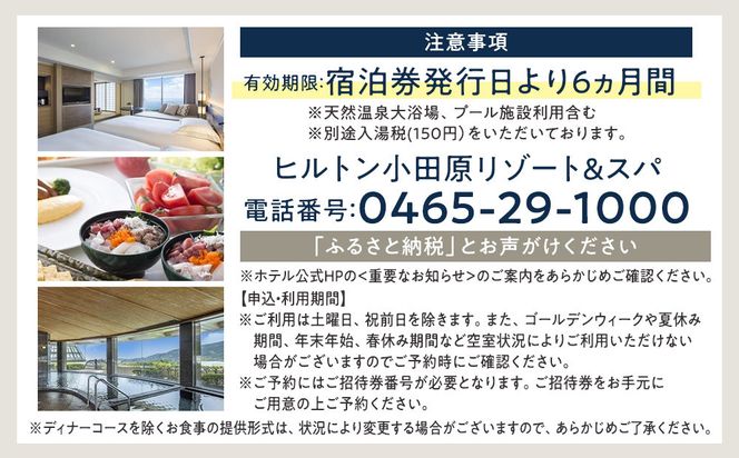 【チケット有効期限延長！】ヒルトン・和洋室デラックスルーム　1 泊夕朝食付き＜1組2名様＞【オーシャンビュー フィットネス 天然温泉大浴場 バーデゾーン 朝食ビュッフェ 都心から１時間のリゾート ファミリーステイ可能 ヒルトン 神奈川県 小田原市 】 142069_BG005