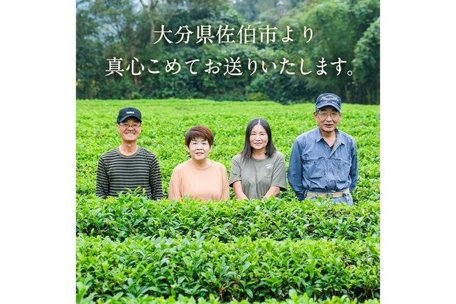 釜炒り 宇目茶・宇目の紅茶セット (合計240g・釜炒り茶120g×2種、紅茶40g×1種) お茶 緑茶 茶 茶葉 釜炒り茶 紅茶 日本茶 大分県産 セット 詰め合わせ 大分県 佐伯市 【FE01】【宇目茶】