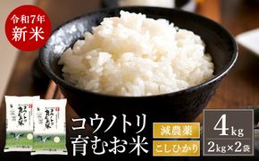 令和7年産　新米 減農薬 米 特別栽培米 4kg コウノトリ育むお米 但馬産 こしひかり 兵庫県産(2kg×2袋)（94-003）減農薬 お米 4キロ 精米 白米 コウノトリ米 コシヒカリ 新米 コメ こめ ご飯 ライス 減農薬米
