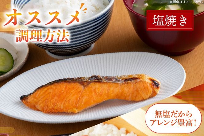 訳あり 三陸産 銀鮭 切身 約1.1kg [阿部長商店 宮城県 南三陸町 m304amh530008] 魚介類 魚 鮭 海鮮 さけ サケ 鮭切身 シャケ 切り身 訳アリ おかず 弁当 サーモン 銀鮭切り身 国産 無塩 規格外 無塩鮭 不揃い 冷凍 家庭用 わけあり