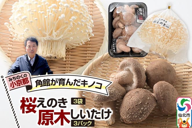 みちのくの小京都・角館が育んだ「2種セット」（桜えのき約300g×3袋、原木しいたけ×3パック） [えのき エノキ しいたけ 椎茸 シイタケ 秋田県 仙北市 角館]|02_sne-050101