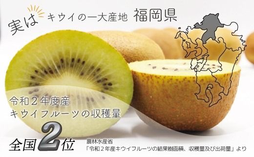 博多甘うぃ （キウイフルーツ） 約3.6kg 【2026年11月上旬～11月下旬発送予定】 キウイ 果物 フルーツ 九州 福岡県 香春町 冷蔵