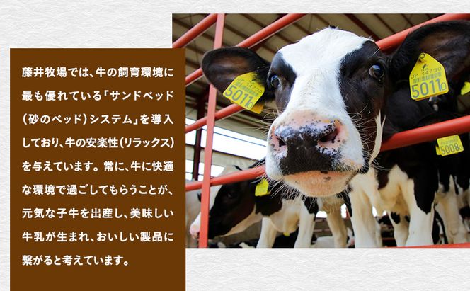 富良野　藤井牧場　4種のチーズセット