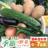 身体が喜ぶ季節の野菜ハーフセット(6～7品)｜野菜 やさい 野菜セット セット 詰め合わせ おまかせ 茨城県 行方市(BI-107)
