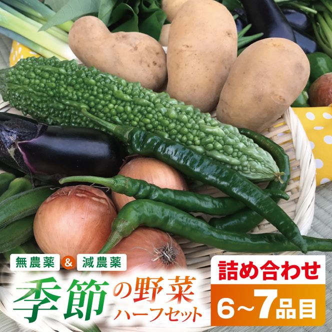 身体が喜ぶ季節の野菜ハーフセット(6～7品)｜野菜 やさい 野菜セット セット 詰め合わせ おまかせ 茨城県 行方市(BI-107)