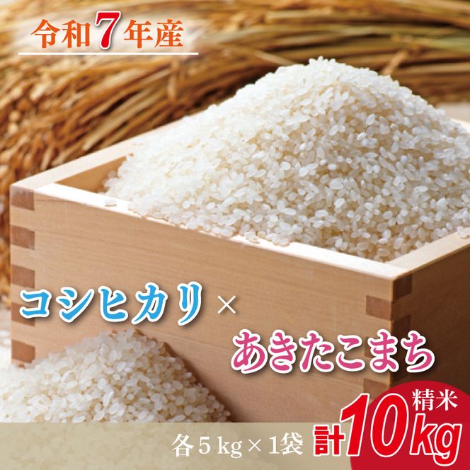 【数量限定】 令和7年産 米 コシヒカリ 5kg＋あきたこまち 5kg |お米 茨城県 行方市(HA-20)