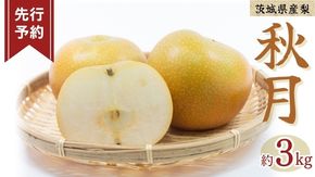 《 先行予約 》秋月 6～9玉 ( 約3kg ) 【 2026年8月下旬発送開始】 フルーツ 果物 なし ナシ 旬 新鮮 旬 期間限定 甘い 国産 [DV003us]