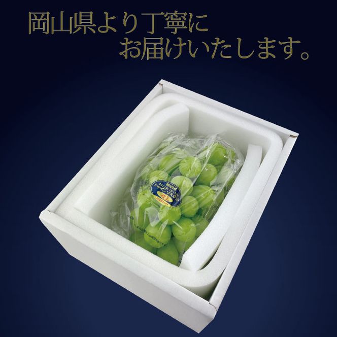 ぶどう 2026年 先行予約 9月・10月発送 高級品 シャインマスカット 晴王 1房 約650g ブドウ 葡萄 岡山県産 船穂産 フルーツ 果物 ギフト