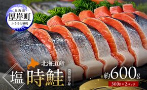 北海道産 塩時鮭 姿切身（半身） 約600g （300g×2パック） [ 鮭 さけ 時鮭 貴重 焼き魚 魚 魚介類 サケ ]