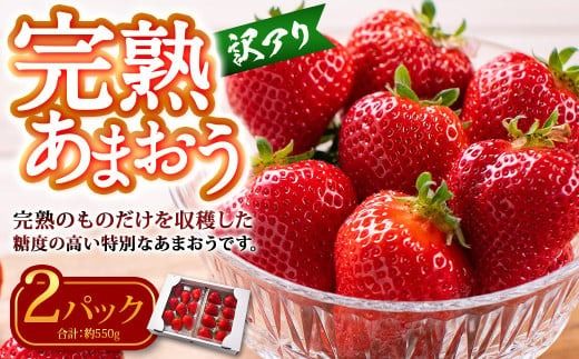  【訳あり】 完熟あまおう 2パック 約275g×2パック 合計約550g 【2026年2月上旬～3月上旬までに出荷予定】いちご 苺 訳あり 家庭用 果物 フルーツ