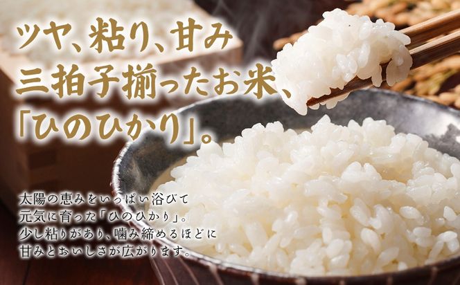 「原田さんちのお米」ヒノヒカリ 10kg お取り寄せグルメ お取り寄せ 福岡 お土産 九州 ご当地グルメ 福岡土産 取り寄せ 福岡県 食品