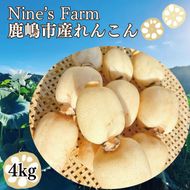 ＼先行予約・数量限定／オーガニック肥料で育てたれんこん 4kg (8月上旬発送開始予定)【茨城県 鹿嶋市 有機栽培 オーガニック レンコン 蓮根 野菜 根菜 産地直送 有機野菜 】（KBJ-2）
