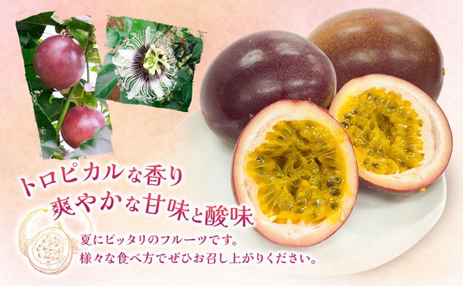 福岡県産 パッションフルーツ 2.5kg (M～3Lサイズ 25～35個) 果物 フルーツ ※配送不可:離島
