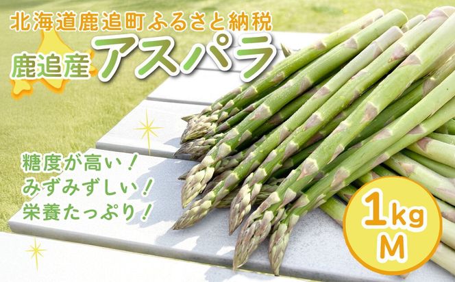【5月中旬以降発送】鹿追産アスパラ（1kg）M SKA037