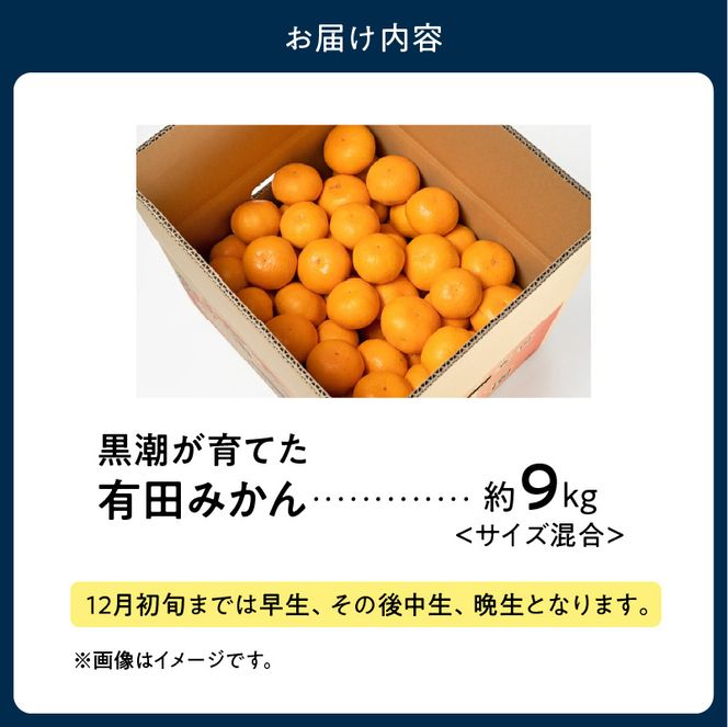 黒潮が育てた 有田みかん 約9kg (サイズ混合)_AE6110
