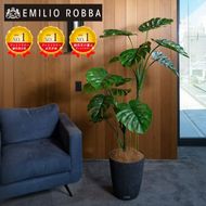 アートフラワー エミリオ・ロバ モンステラ(根付き）TUTTA06750