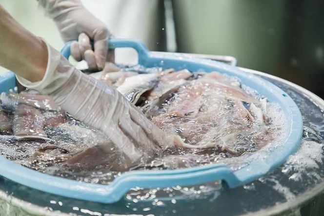 【酢〆専門老舗丸二商店】新春を祝いおせちに一品４パック入り おつまみ 酢の物 お刺身 おせち料理 小肌粟漬 こはだ粟漬 小肌 しめさば 〆鯖 酢〆 酢漬け 魚介 海鮮 お刺身風 酢〆セット おうちごはん H021-119