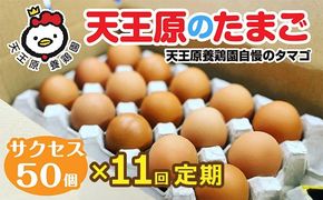 【定期便】11回定期 【天王原のたまご】 サクセス卵 50個入り 【定期便 11回定期便 セット たまご 卵 玉子 タマゴ 濃厚 ハリ 弾力 ボリューム 甘味 旨味 卵黄 風味 生 コク 甘味 卵かけご飯 卵焼き 目玉焼き オムレツ 茶碗蒸し お菓子作り パンの材料】