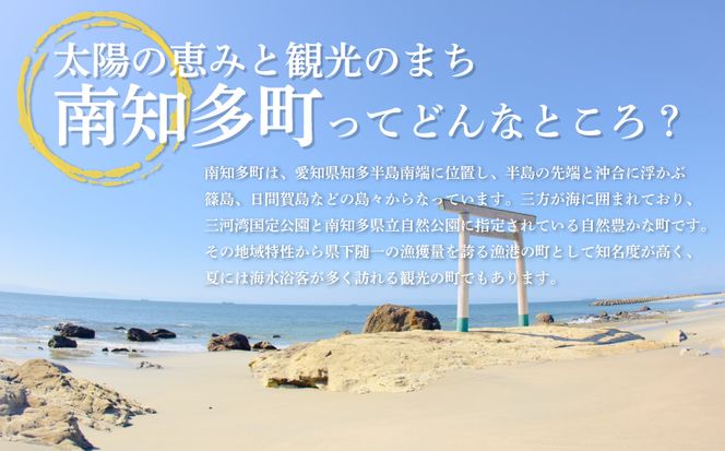 しらす干し 約1.3kg（100g×13パック） 南知多篠島産 大一商店 冷凍 小分け 愛知県 南知多町
