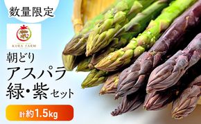 【2026年5月より発送】北海道 富良野市産 アスパラ 緑(LMサイズ混合)・紫(LMサイズ混合 )  計約1.5kg セット 食べ比べ 朝どり 露地 アスパラガス 詰め合わせ 野菜 新鮮 数量限定 先着順【藏ファーム】
