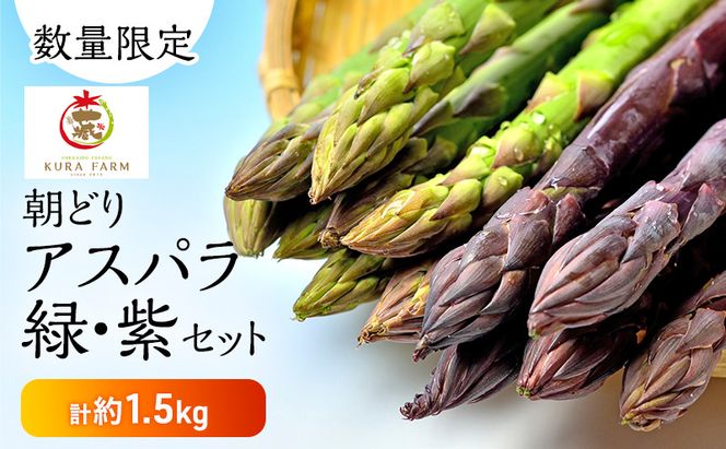 【2026年5月より発送】北海道 富良野市産 アスパラ 緑・紫(サイズ混合)  計約1.5kg セット 食べ比べ 朝どり 露地 アスパラガス 詰め合わせ 野菜 新鮮 数量限定 先着順【藏ファーム】