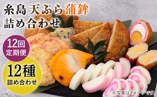 【全12回 定期便 】天ぷら 蒲鉾 詰め合わせ (12種17点) Aセット 糸島市 / 村島蒲鉾店 惣菜 かまぼこ [AHH005] 蒲鉾 天ぷら 鯛蒲鉾 板蒲鉾 紅白 祝い イカ天 海鮮天 紅