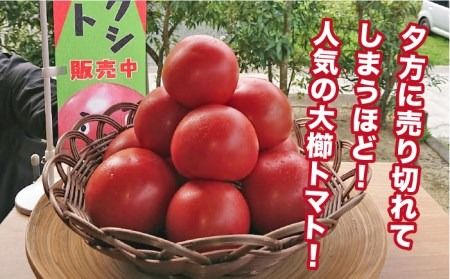 【先行予約】【甘くて濃厚】大玉 トマト 2kg 糸島産 【2024年11月以降順次発送】《糸島》 【大櫛トマトファーム】 [AQH001]