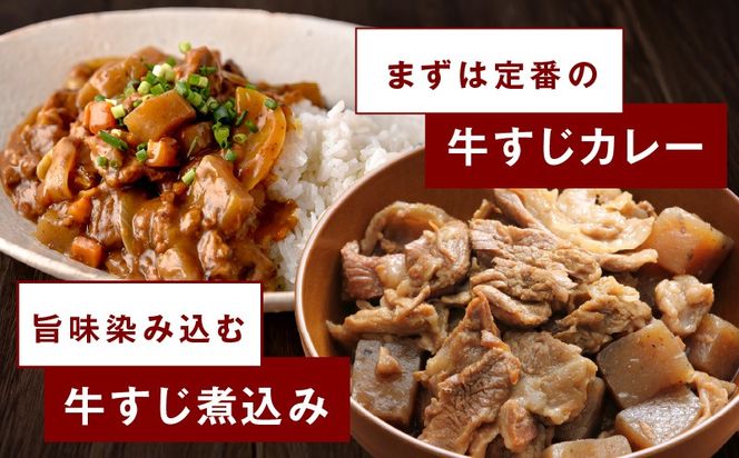 mrz0258 牛すじ肉 総量 1kg 真空パック 500g×2P【氷温熟成×極味付け 牛肉 お肉 小分け 冷凍 SDGs フードロス カレー 煮込みに】