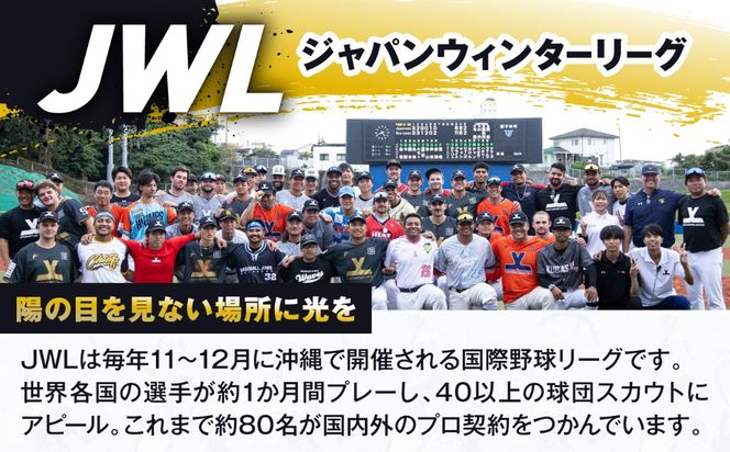 JWLを観戦しに沖縄市へ宿泊しよう！レフ沖縄アリーナ ペア宿泊券（1泊朝食付）[BCEY003]