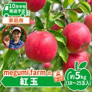 【10月中旬発送】訳あり りんご 糖度14度以上 高糖度 megumi farmの紅玉 家庭用 約5kg（10～25玉入） 果物 フルーツ 産地直送 料理 青森県 鰺ヶ沢町