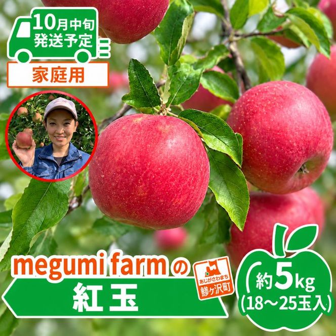 【10月中旬発送】訳あり りんご 糖度14度以上 高糖度 megumi farmの紅玉 家庭用 約5kg（10～25玉入） 果物 フルーツ 産地直送 料理 青森県 鰺ヶ沢町