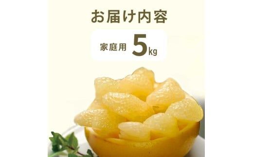 【先行予約】　文旦 約5kg 5キロ L～4Lサイズ〈2027年2月上旬から順次発送〉 土佐文旦 みかん 柑橘 ぶんたん ブンタン 果物 フルーツ デザート おやつ 三愛果樹園の土佐文旦 おいしい 美味しい【三愛果樹園】