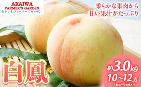 桃 2026年 先行予約 白桃 白鳳 約3.0kg 10～12玉 もも 岡山県 赤磐市産 フルーツ 果物 あかいわファーマーズガーデン 果物類