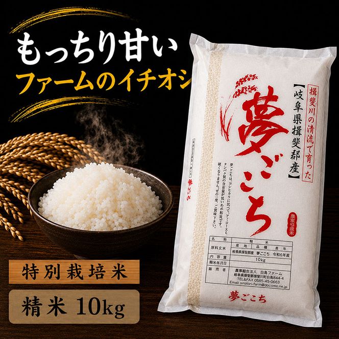 【令和7年産】特別栽培米 10kg【白米、7分ツキ】（夢ごこち）